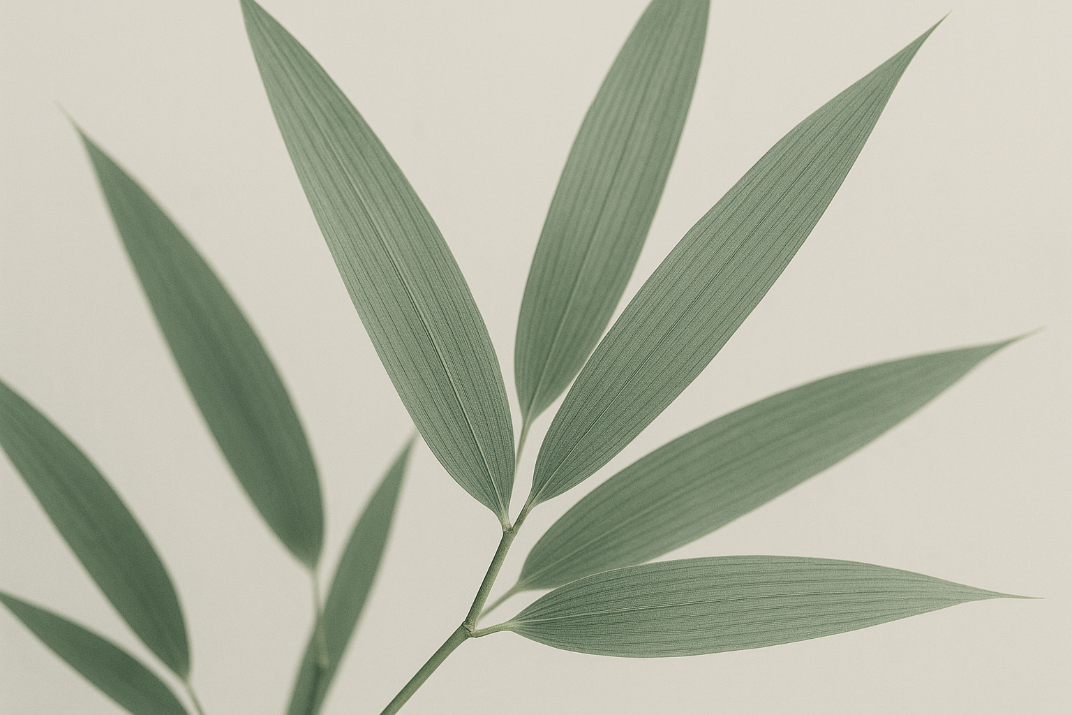 Whispering Bamboo: Eastern Serenity in Resin