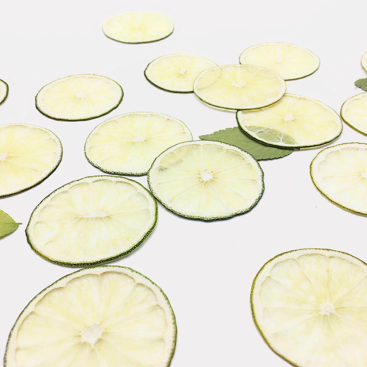 Sun-Kissed Lime Canvases