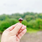 Crimson Mushroom Resin Pendant