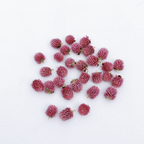 Globe Amaranth Resin Charm
