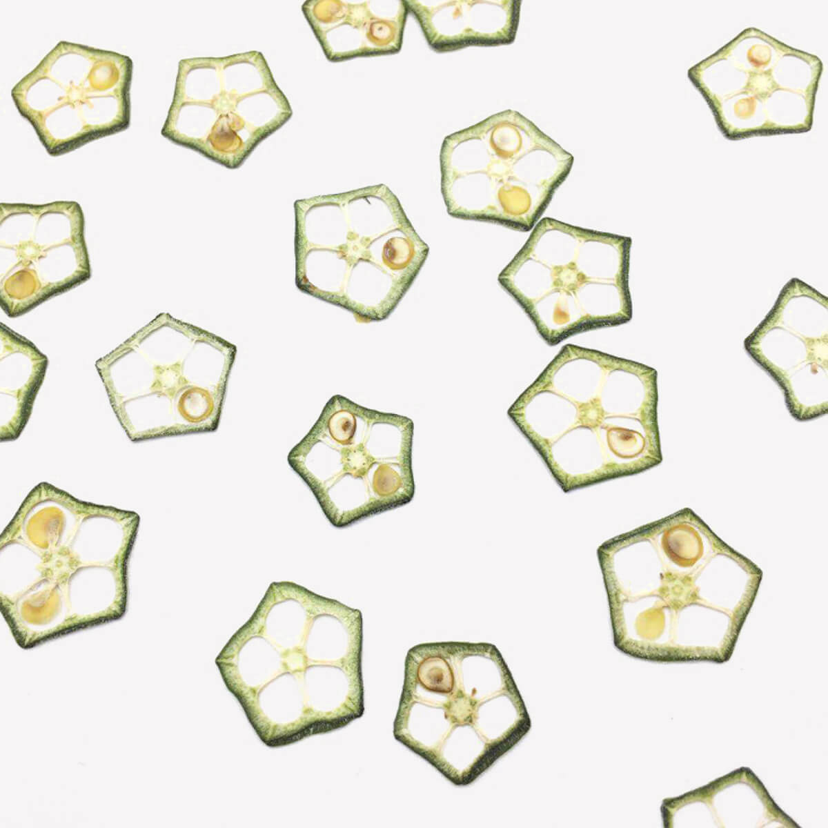 Pressed Okra Specimen Slices