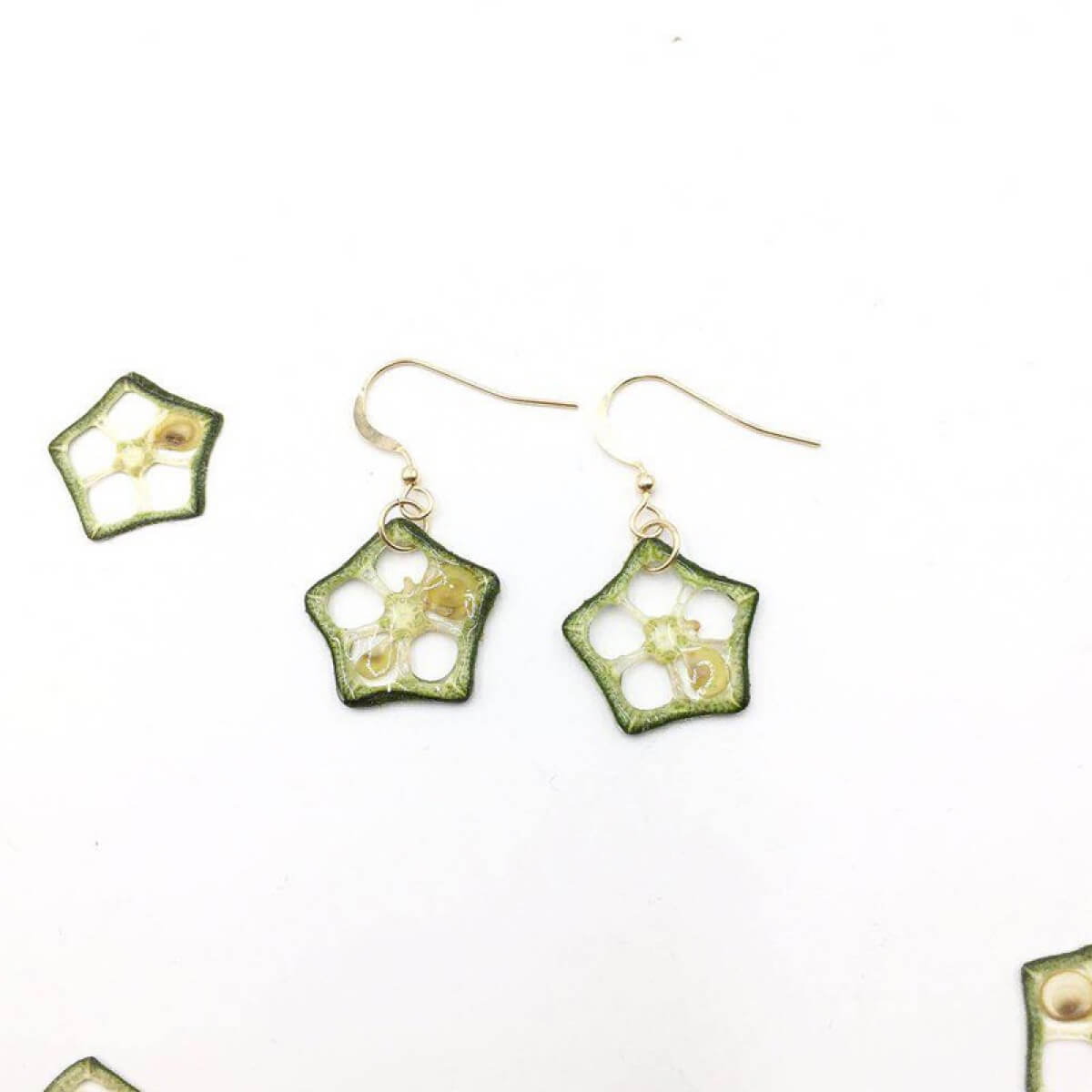 Pressed Okra Specimen Slices