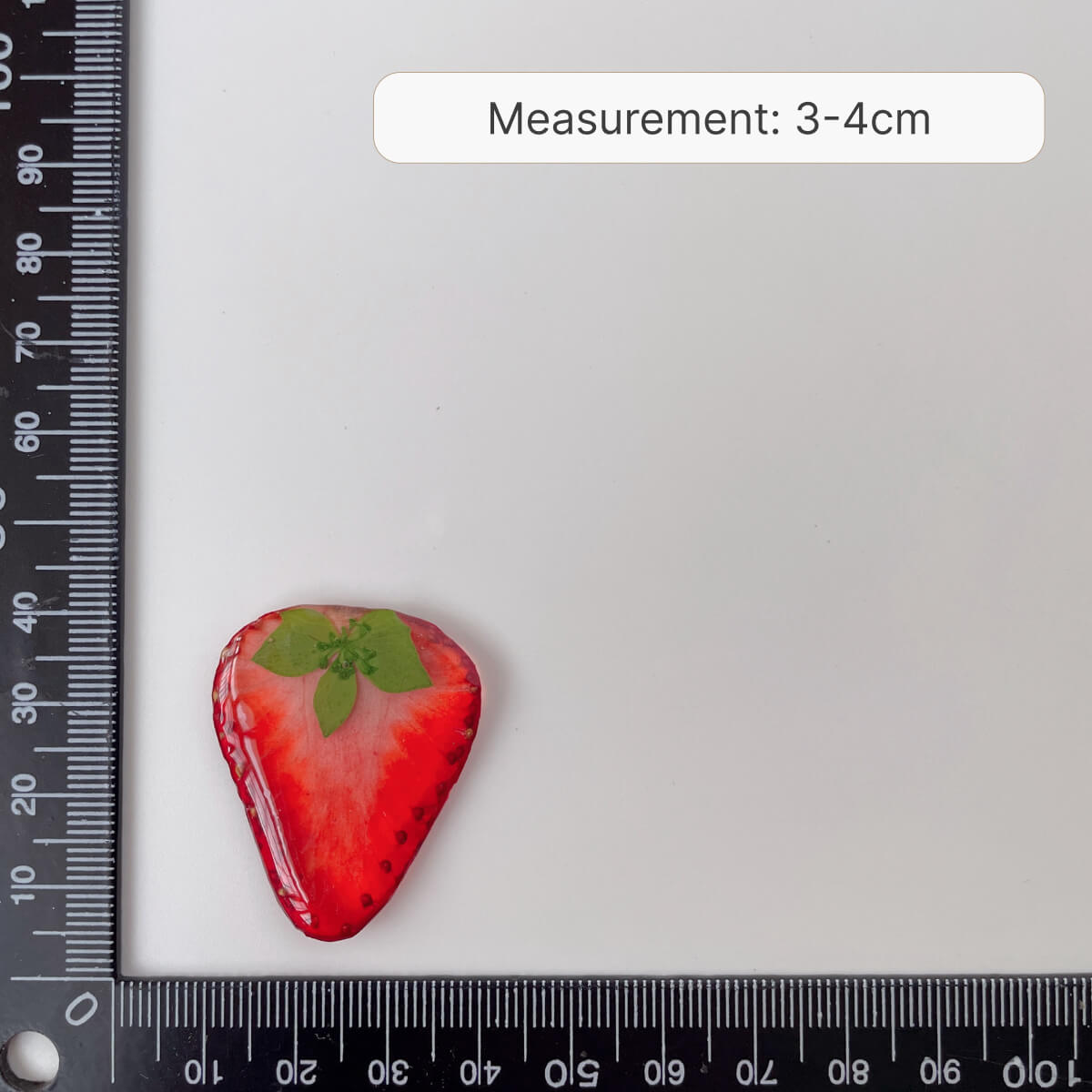 Strawberry Sweet Slice Charm