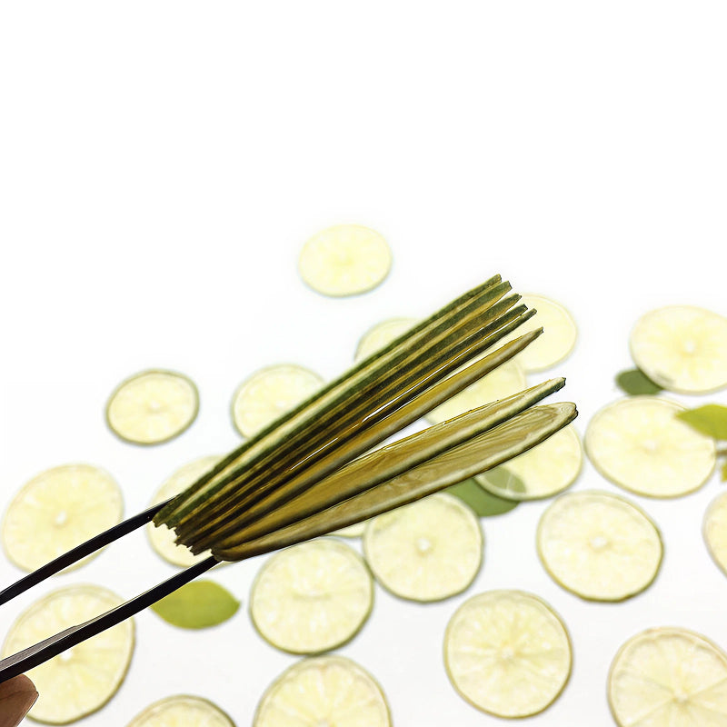 Sun-Kissed Lime Canvases