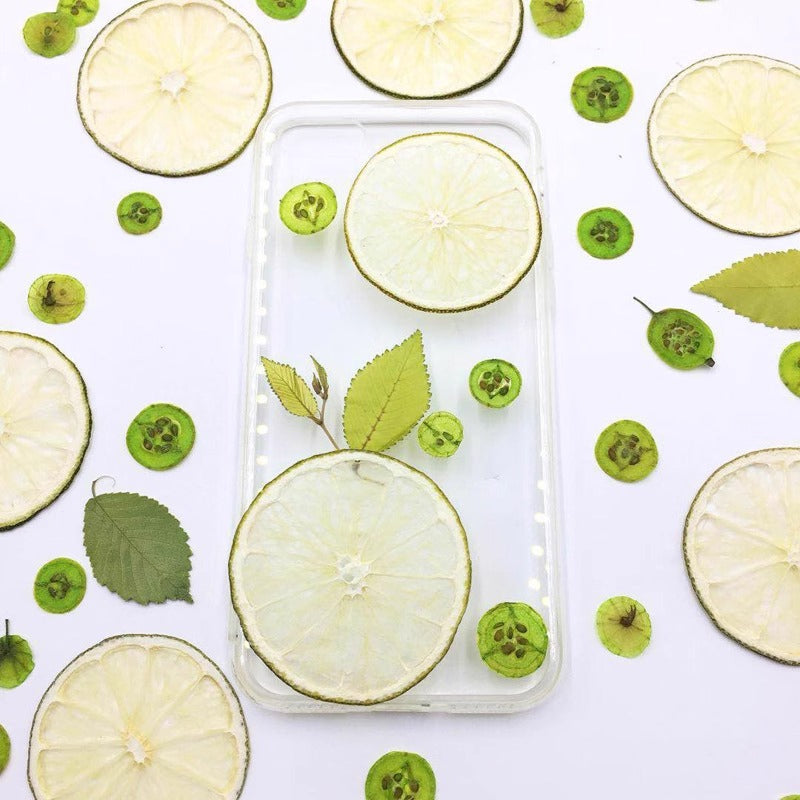 Sun-Kissed Lime Canvases