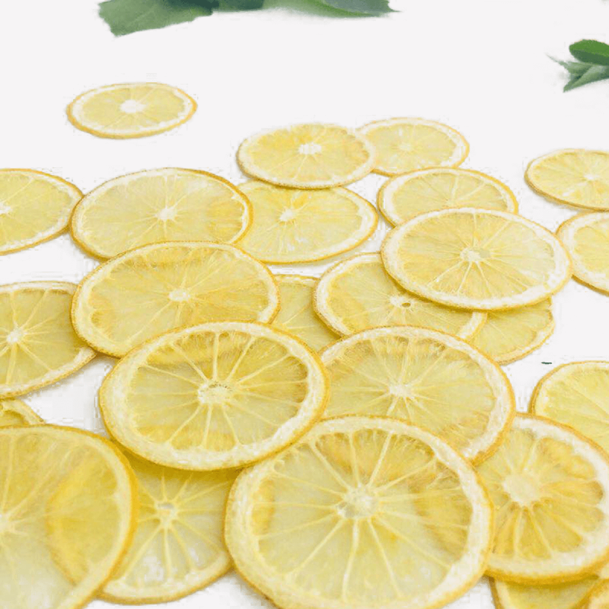 Sunlit Citrine Slice