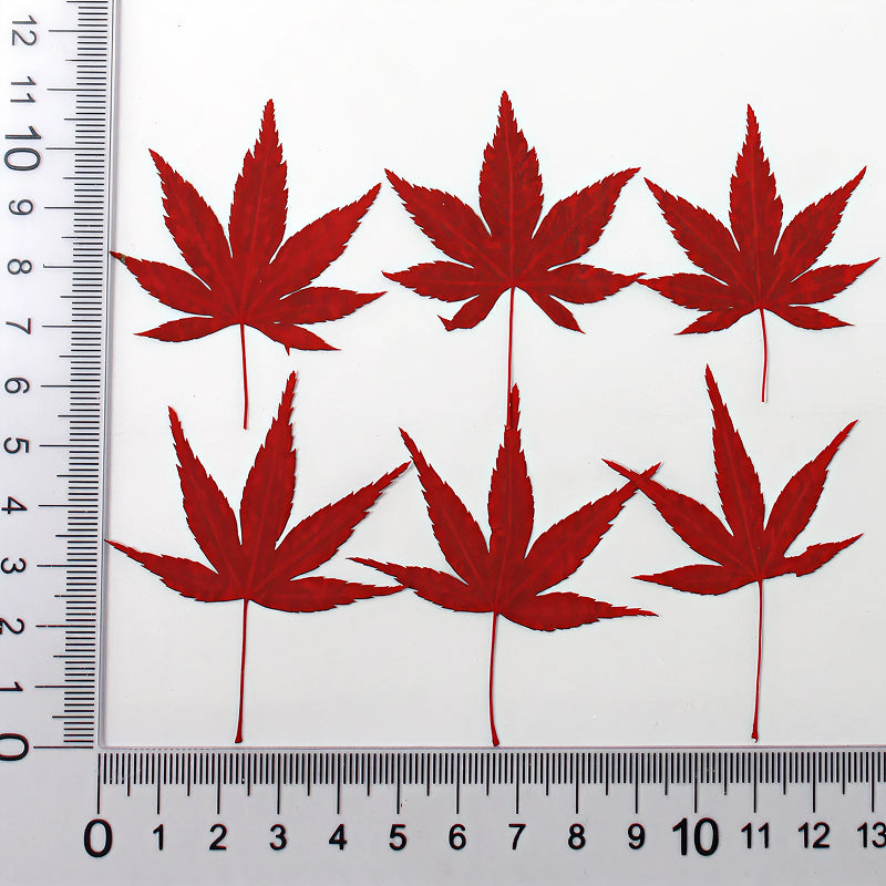 Autumn Whisper Maple Leaves