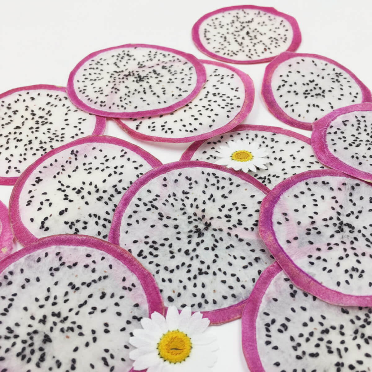 Stardust Pitaya Slices