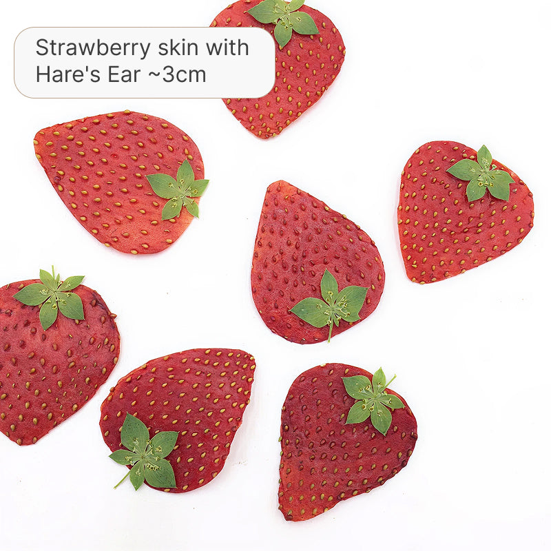 Sweet Pressed Strawberry Slices