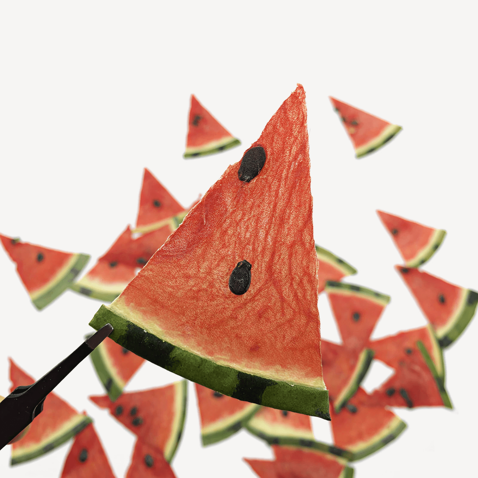 Sun-Kissed Miniature Watermelon Slice